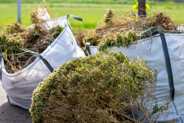 Best Junk Removal Near Me  in Hamilton, OH